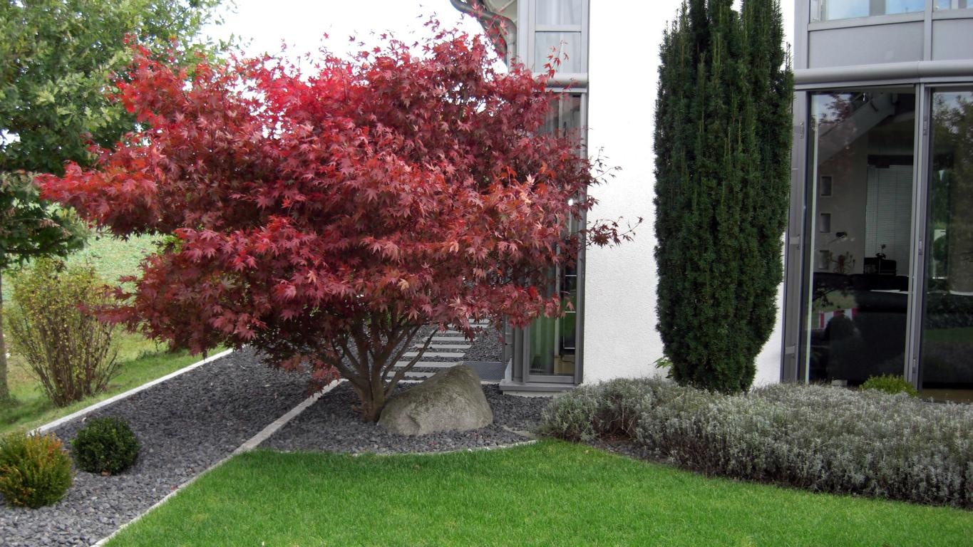 Referenz: moderne Gärten - KAROK Gartengestaltung und Landschaftsbau ... Referenz: moderne Gärten - KAROK Gartengestaltung und Landschaftsbau ...