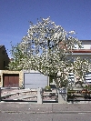 Bild der Referenz Hausgarten Hilscher