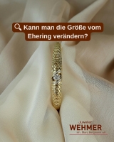 Bild zur Neuigkeit